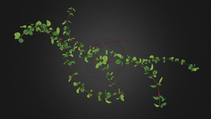 Branches with Leaves
