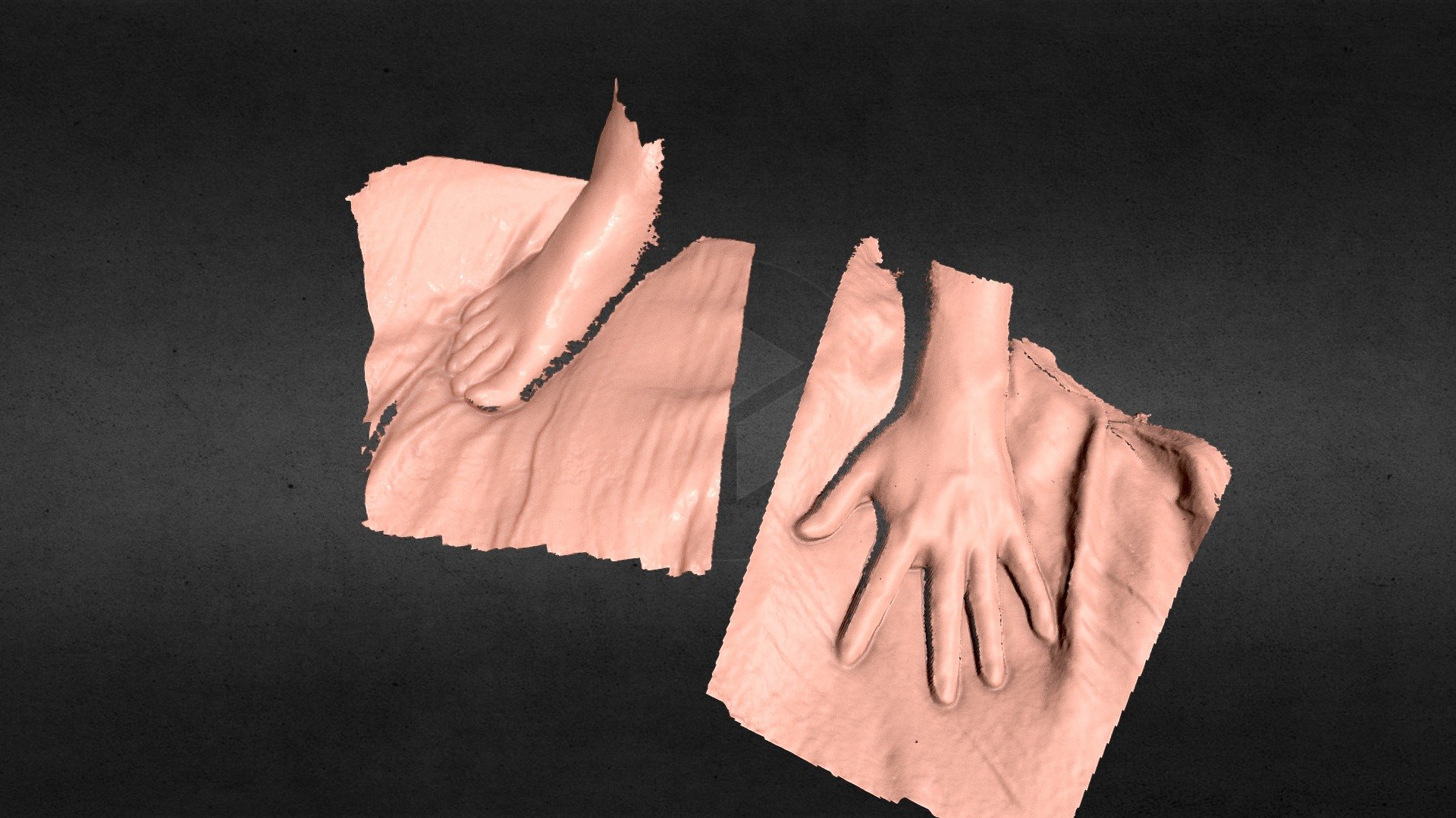 Hands and Feet 3D scans with iPhone12 Pro