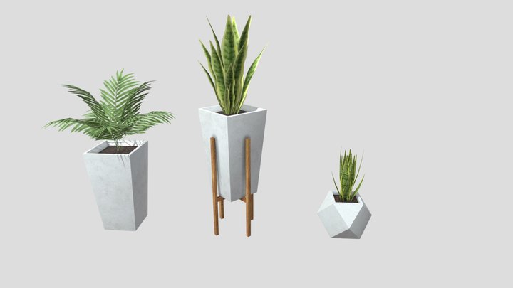 Plants in modern pots decoration 3D Model