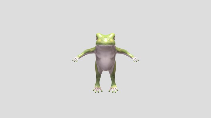 frog_WeightOK_20211124 3D Model