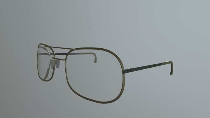 Glasses 3D Model