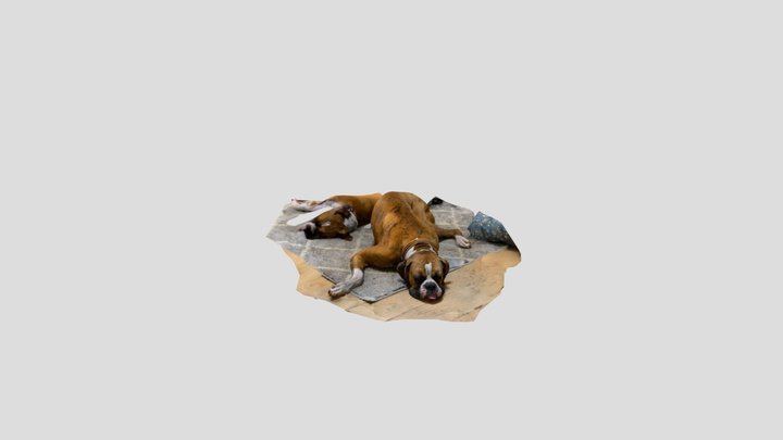 Interpreter Connect 3D Model