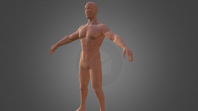 Male_Textured 3D Model