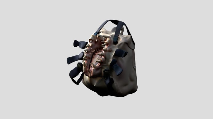 TEETH BAG 3D Model