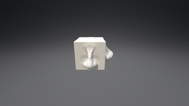 Face Cube 3D Model