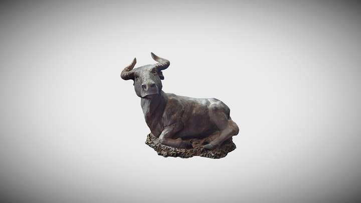 Wild Bull 3D Model