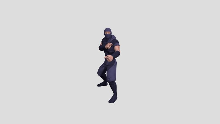 Shadow warrior packing a few punches 3D Model