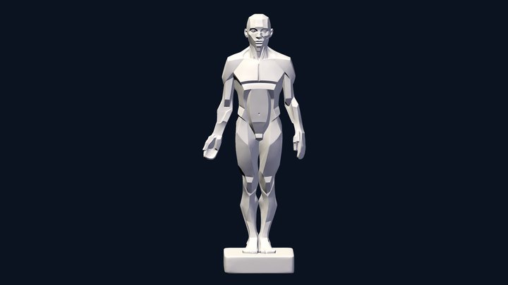 planes of the body 3D Model