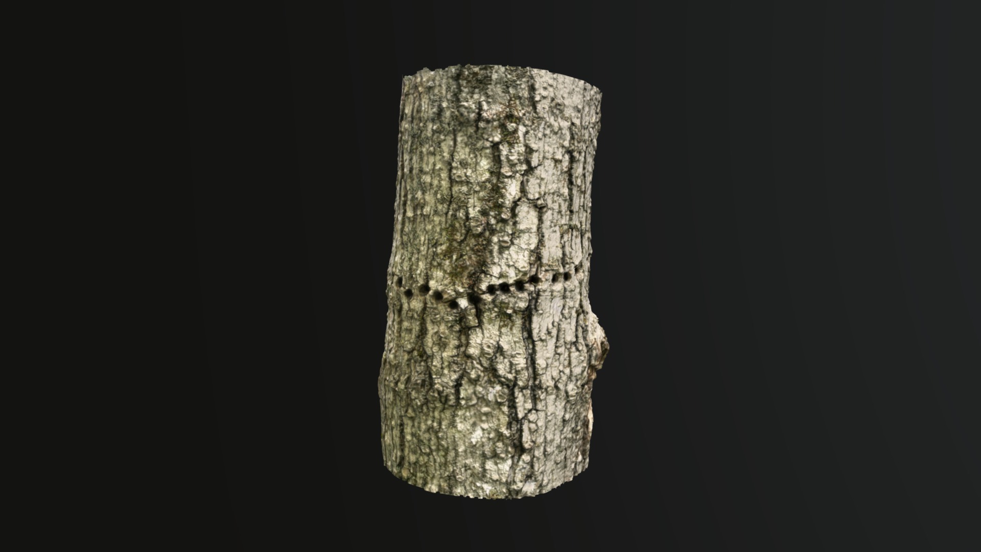 3D model Tree with Woodpecker holes - This is a 3D model of the Tree with Woodpecker holes. The 3D model is about a rock with a dark background.