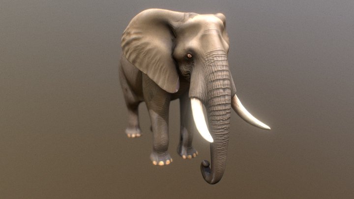 Realistic African Elephant 3D Model