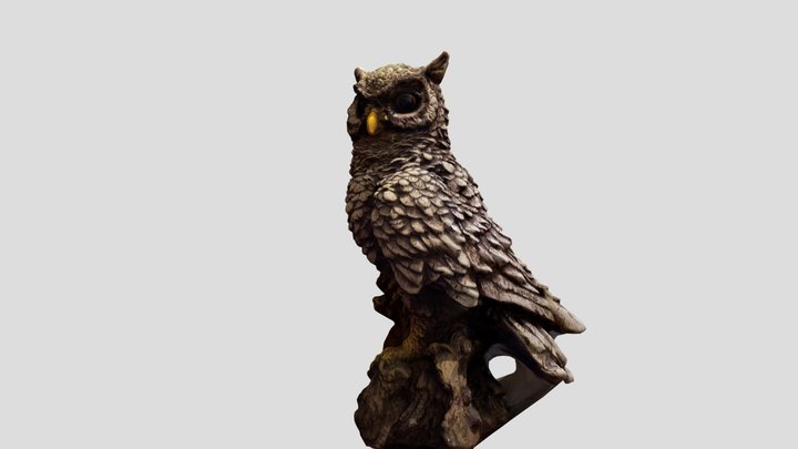 Owl Scann 3D 3D Model