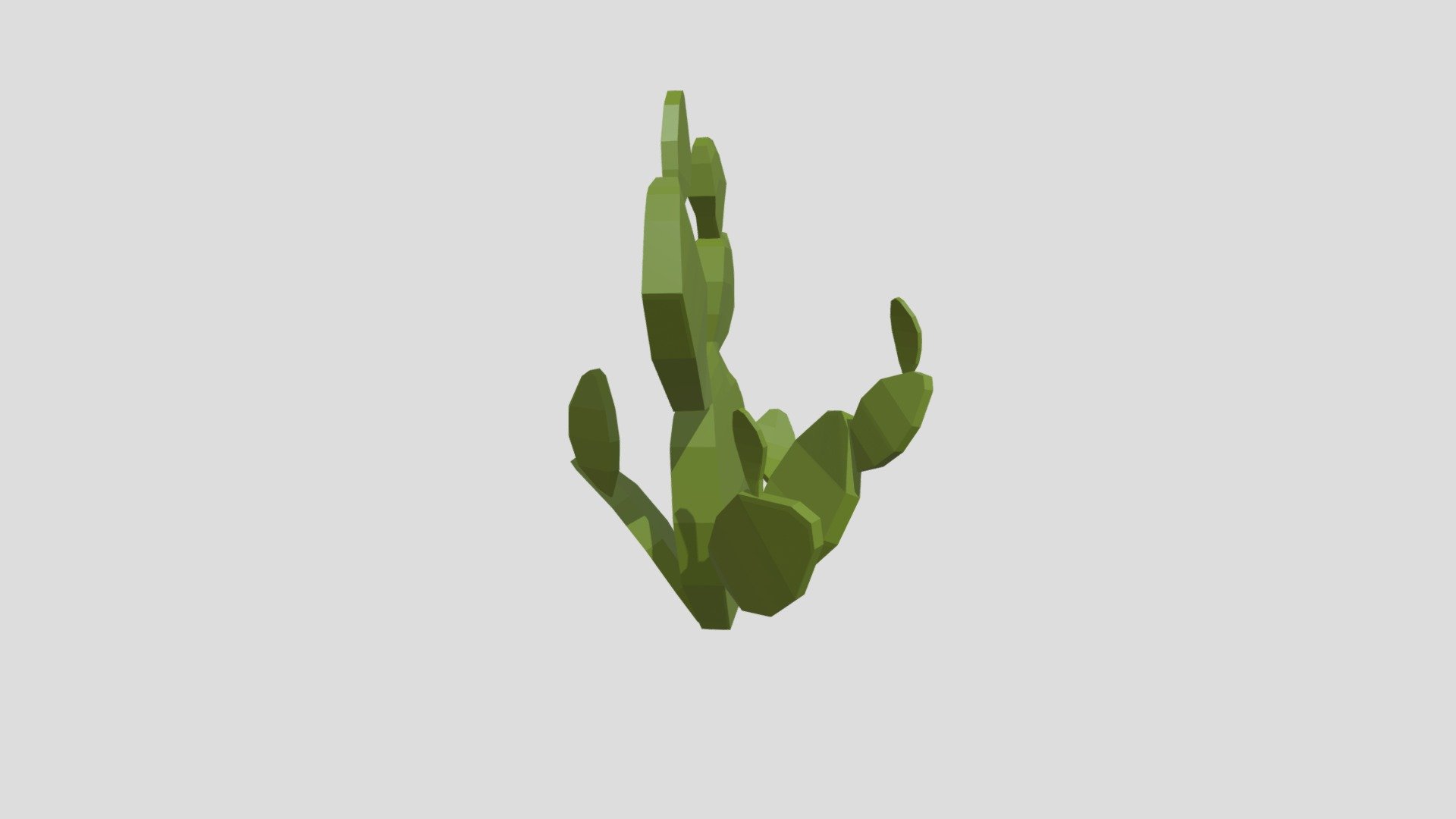 Round Cactus