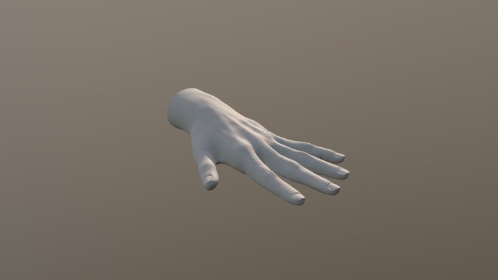 Fairuza Hand 3D Model