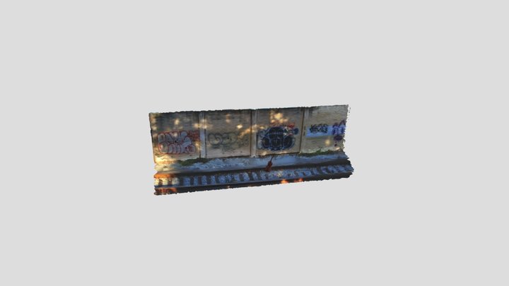 A3: Photogrammetry - Back When 3D Model
