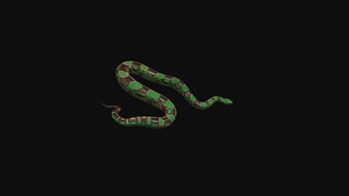 Serpent 3D Model
