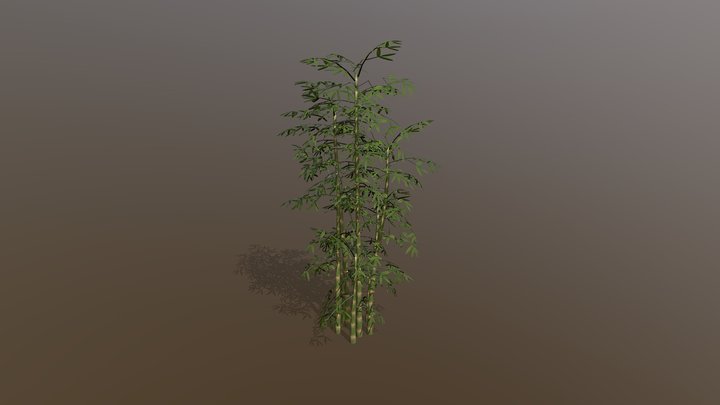 bamboo 3D Model