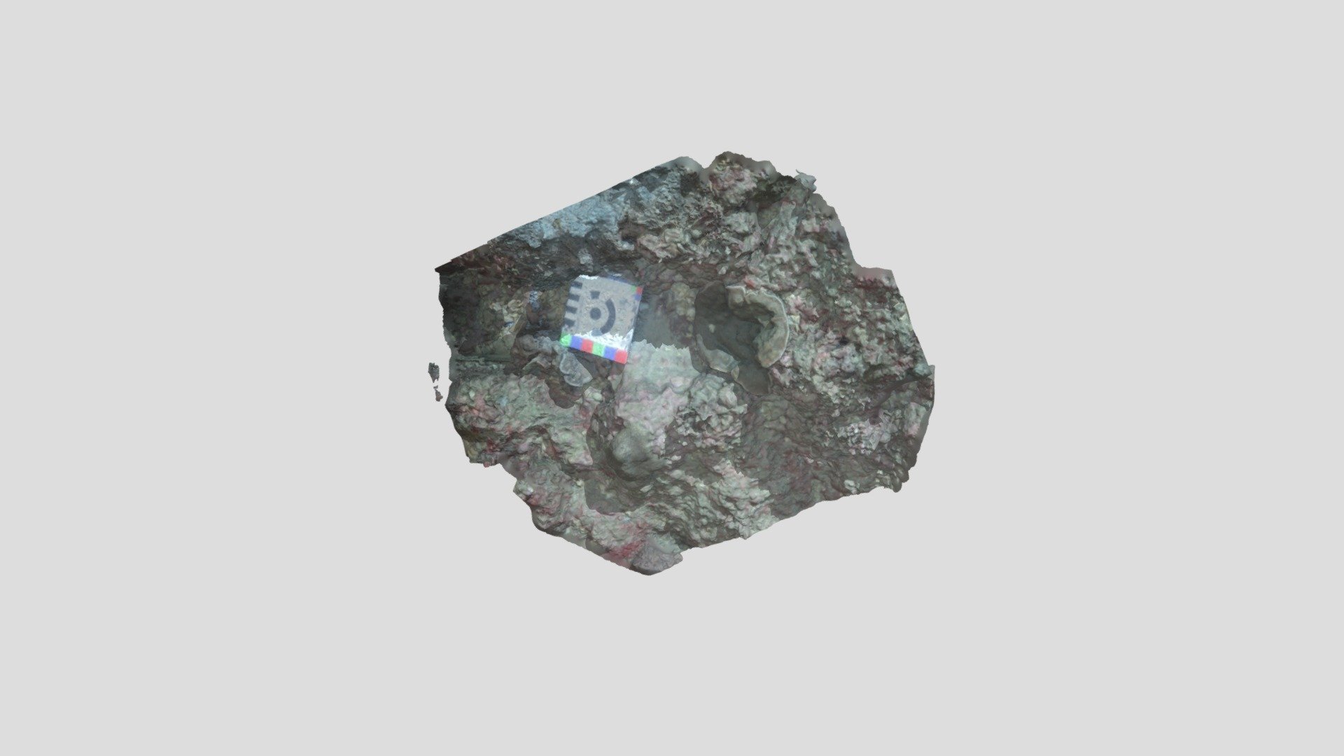 FL191003