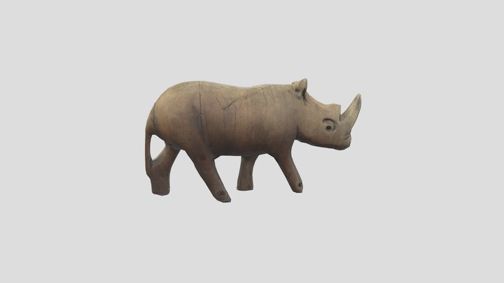 Rhino Photogrammetry 3D Model