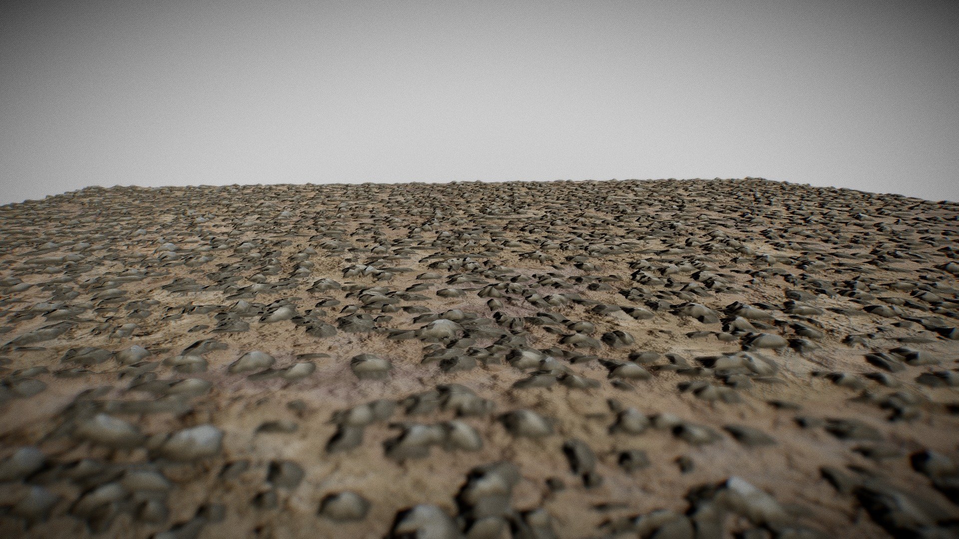 Rocky Ground