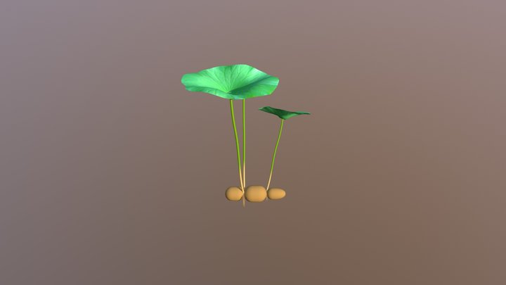 Lotus 3D Model