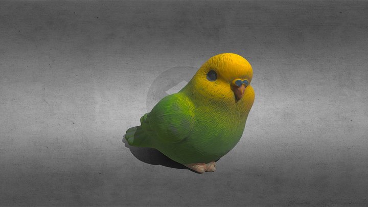 Parakeet figure 3D Model