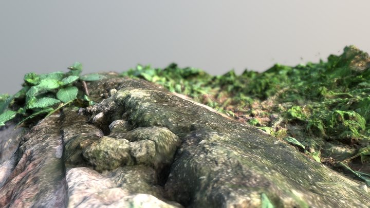 rock and grass 3D Model