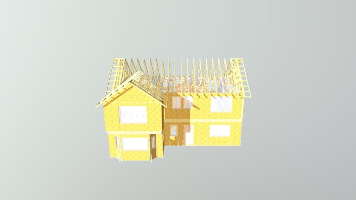 Live Section 3D Model