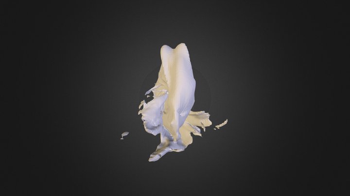 Surface2 3D Model