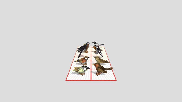 10 Cute Birds 3D Model