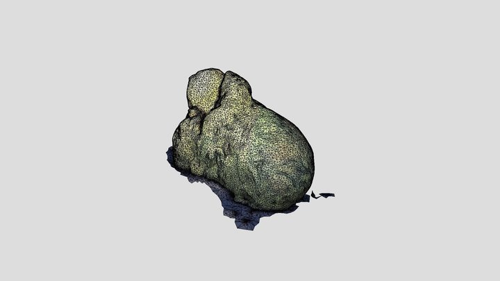 Layer00 3D Model