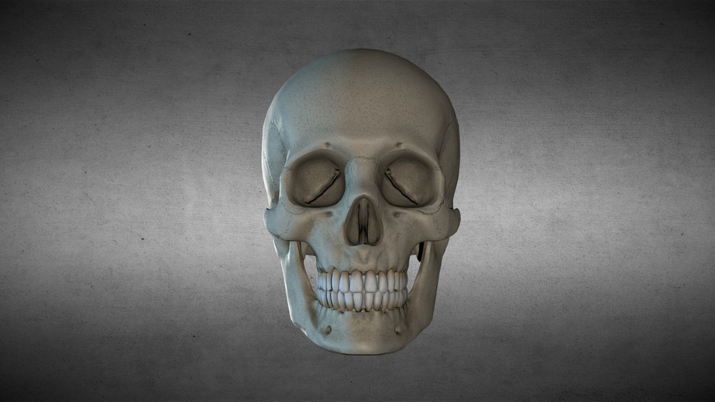 Calavera
