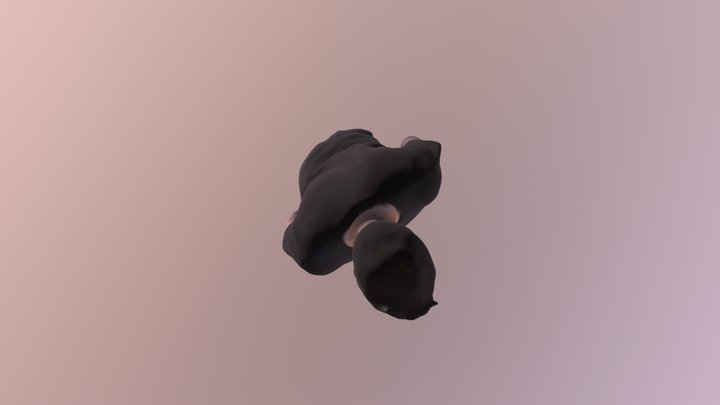 Agus 3D Model