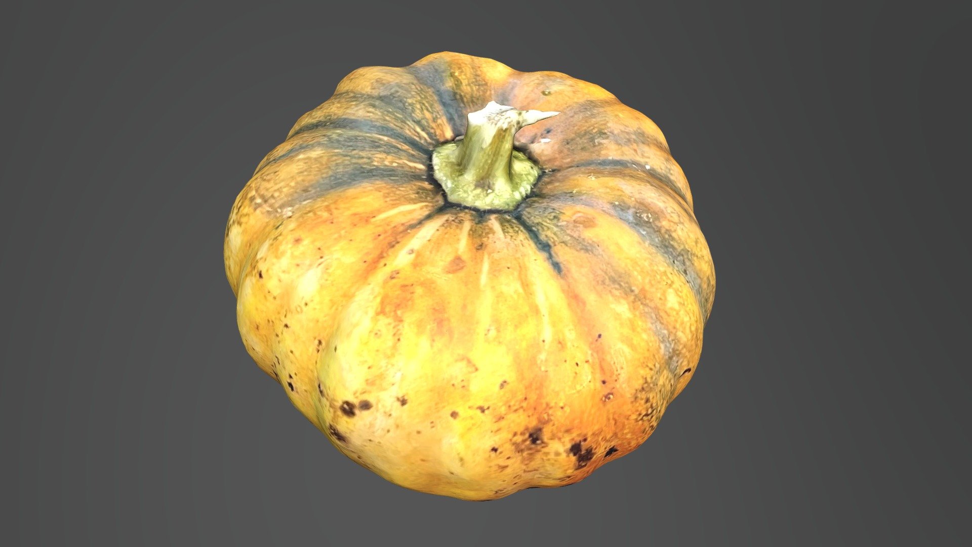 pumpkin-scaniverse-download-free-3d-model-by-jfn-db4-a04ec3f