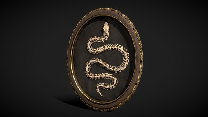 Snake 3D models - Sketchfab