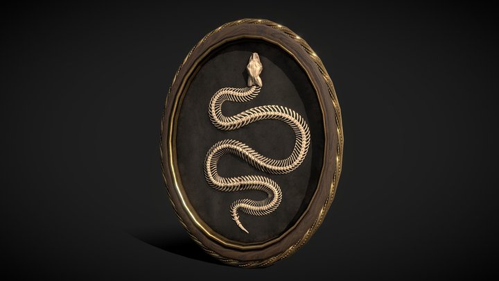 Framed Snake Skeleton / Horror Decor - low poly 3D Model