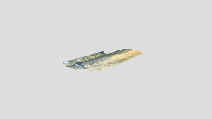 3D Mapper Test 20201119 Simplified 3d Mesh 3D Model