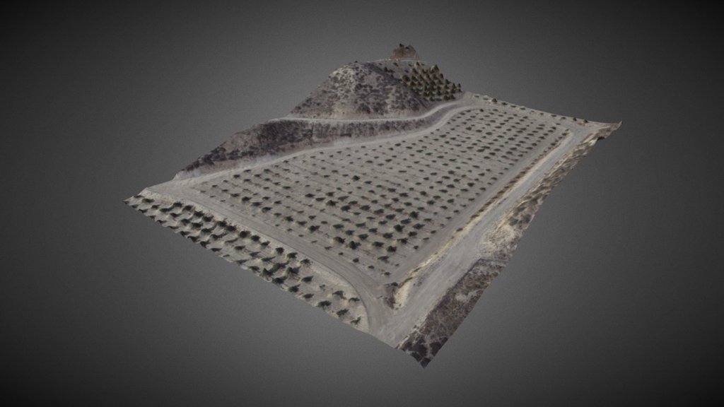 Orchard - 3D model by Greg's Drones (@gr8drone) [a05520d] - Sketchfab