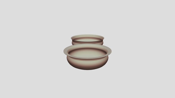 salky 3D Model