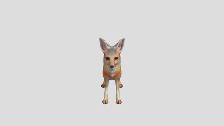 Cape Fox 3D Model