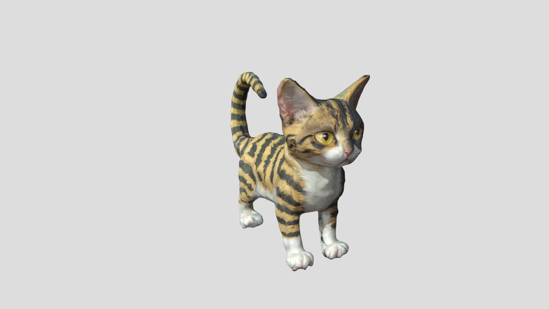 Cat - Download Free 3D model by kingmoon3D [a05c61d] - Sketchfab