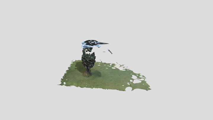 Tree Model 3D Model