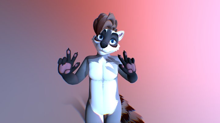 Male Raccoon VRChat Avatar 3D Model