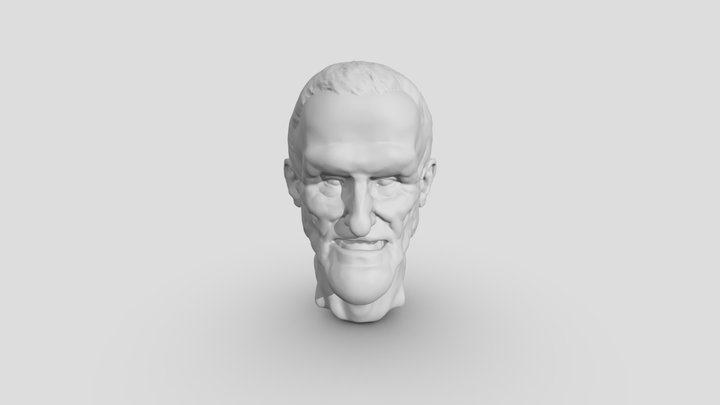Grotesque Face by Da Vinci 3D Model