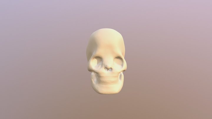 skull-certo 3D Model