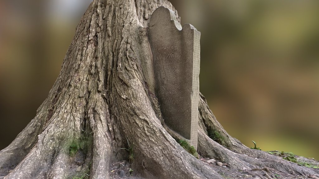 Tombe Cimetière Saint-Matthew