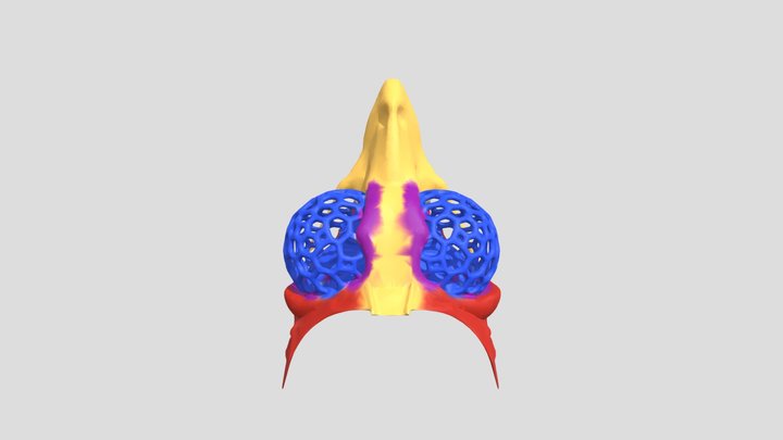 My model 3D Model