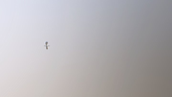 Char Model 3D Model