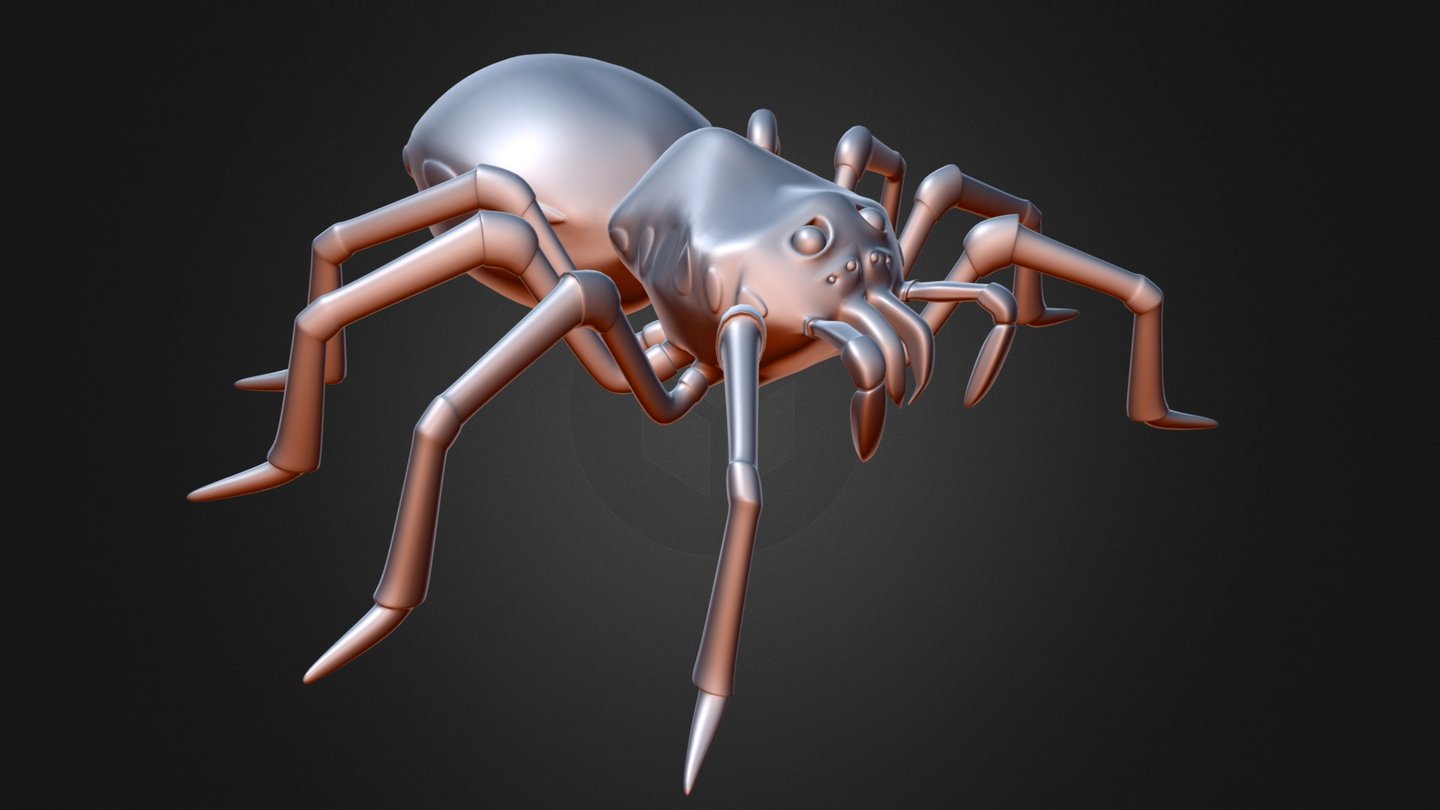 Spider