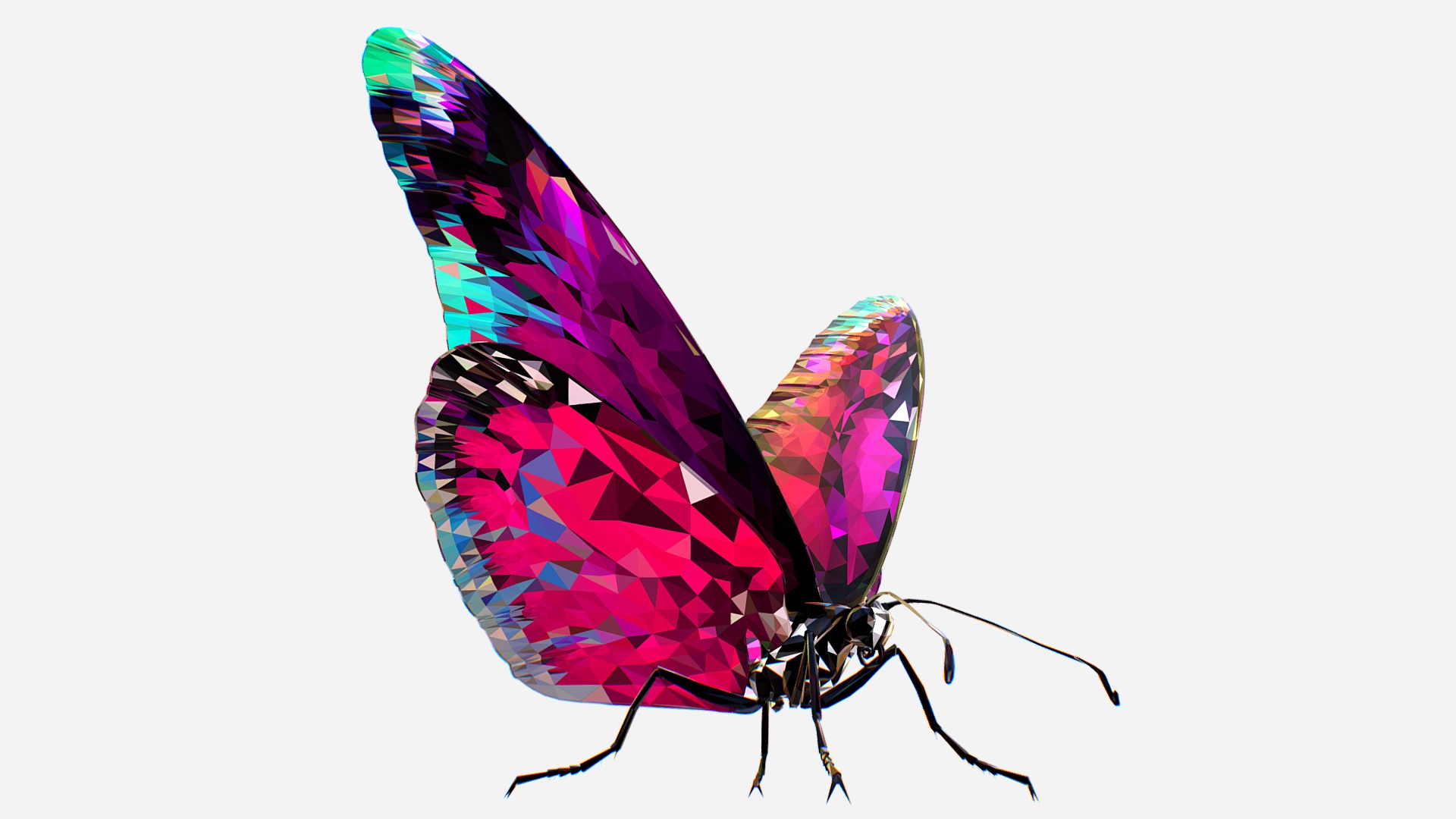 3D model Batterfly Pink Low Polygon Art Insect - This is a 3D model of the Batterfly Pink Low Polygon Art Insect. The 3D model is about diagram.