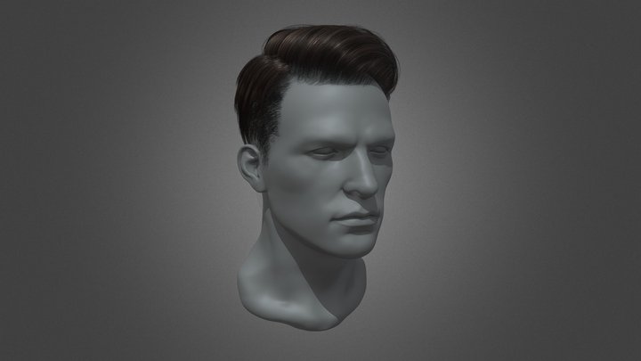Real-time Men's Hair - B (Game ready) 3D Model